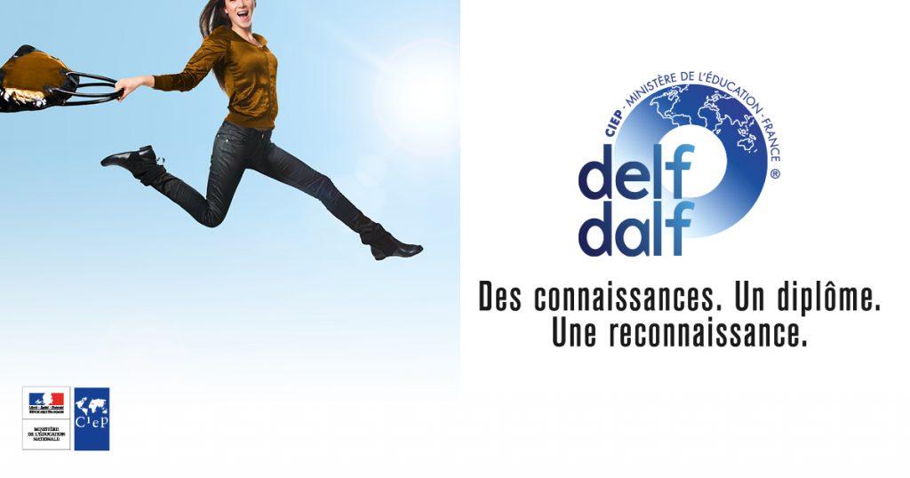 Banner delf dalf 1024x538
